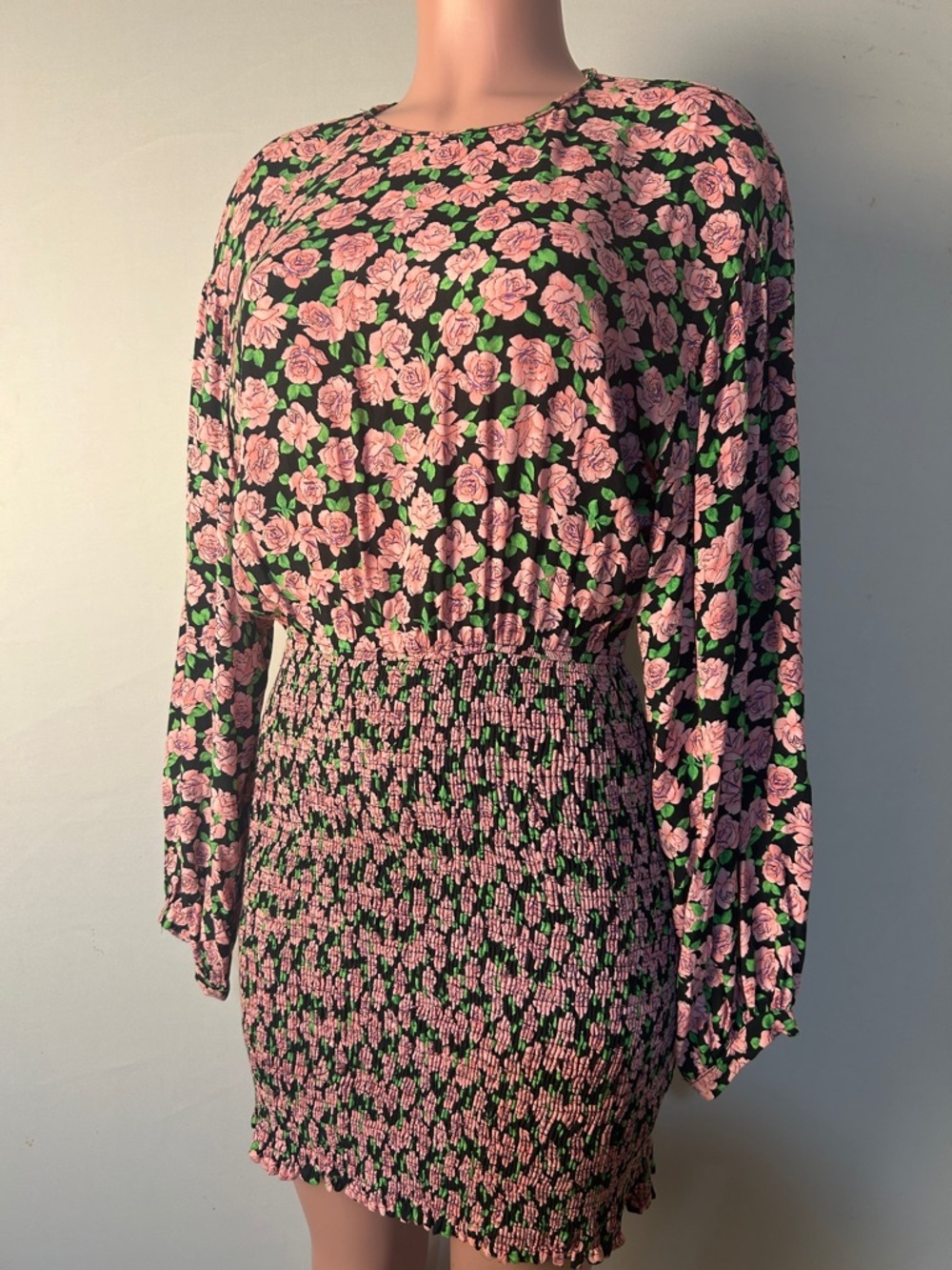 Zara Women’s Long Sleeve Floral Smocked Mini Dress Size Large